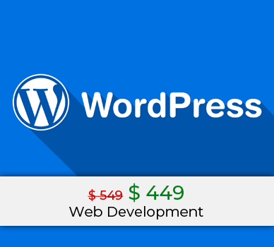 web development wordpress