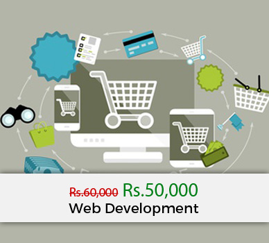 web development ecommerce