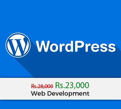 web development wordpress